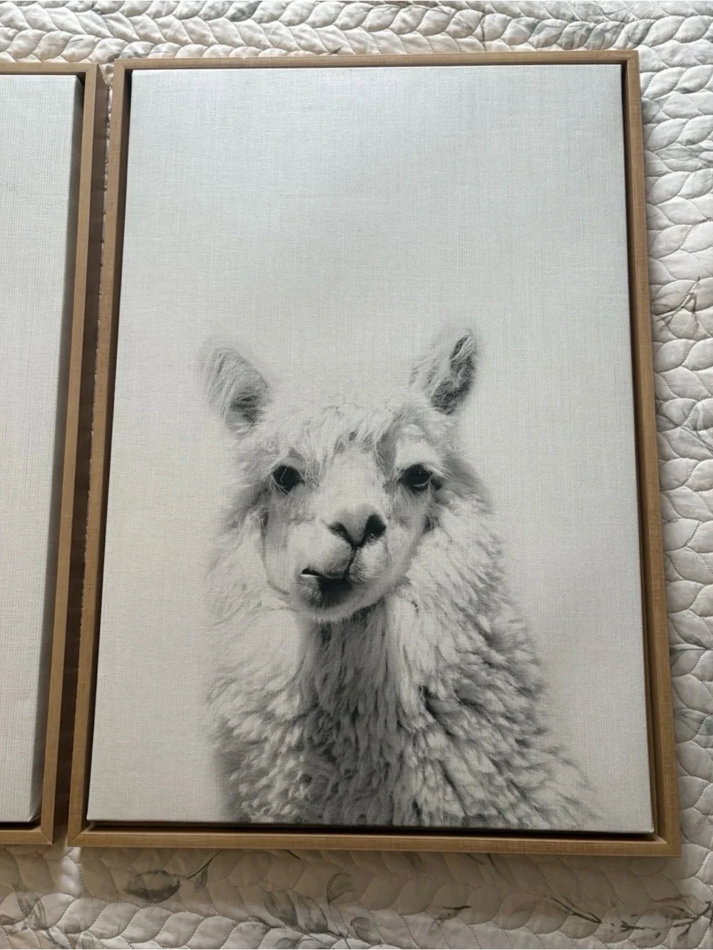 Kate and Laurel Sylvie Alpaca 2pc Framed Canvas Wall Art 33in Vertical, White